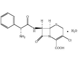 Cefaclor monohydrate 70356-03-5